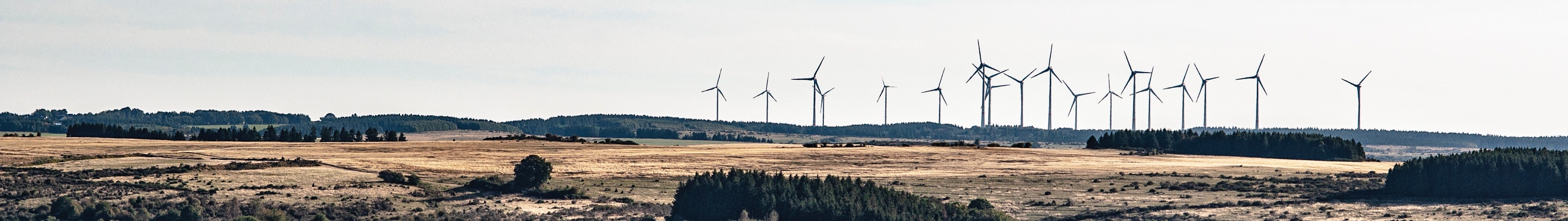 RFF-CMCC-EIEE webinar:  Green finance for a climate-resilient post-COVID-19 recovery