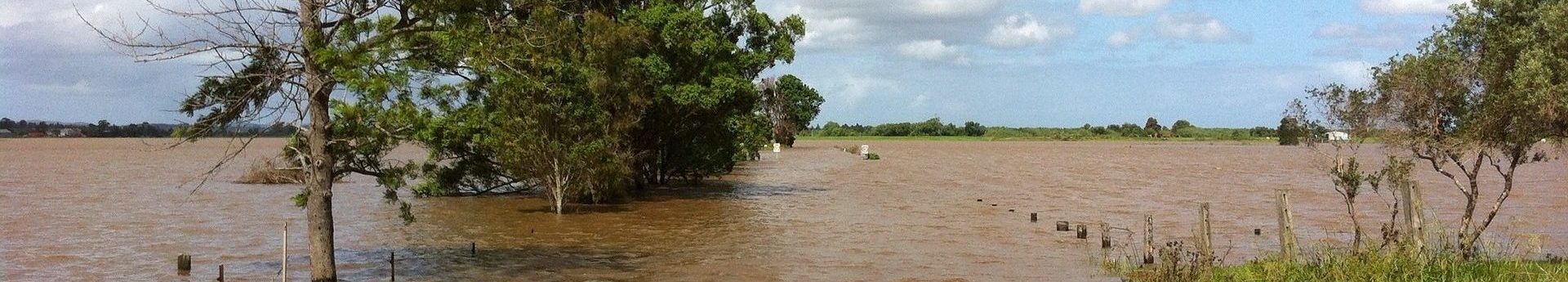 Meet the sectors: International development