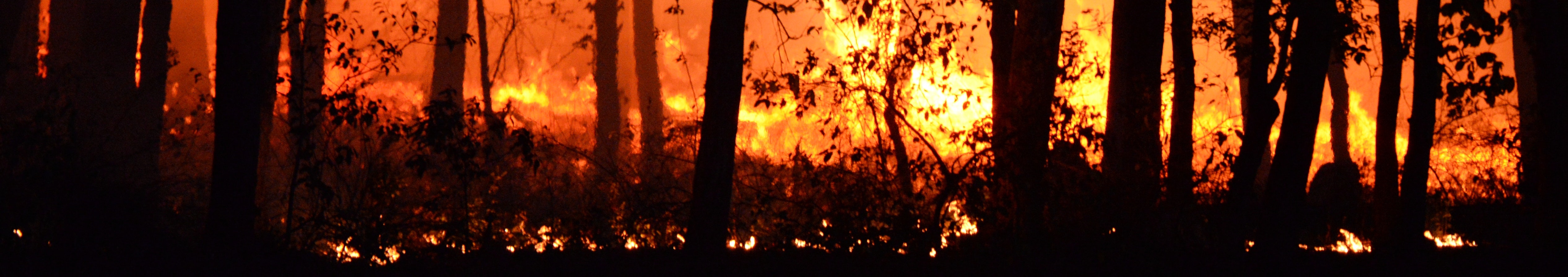 RECEIPT’s research featured in IFRC World Disasters Report 2020