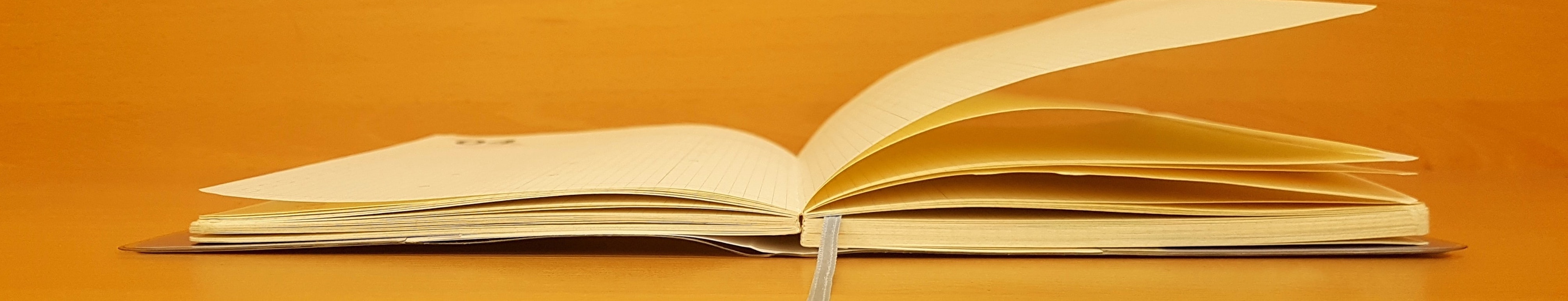 Imagining the Unprecedented: Developing Climate Risk Storylines